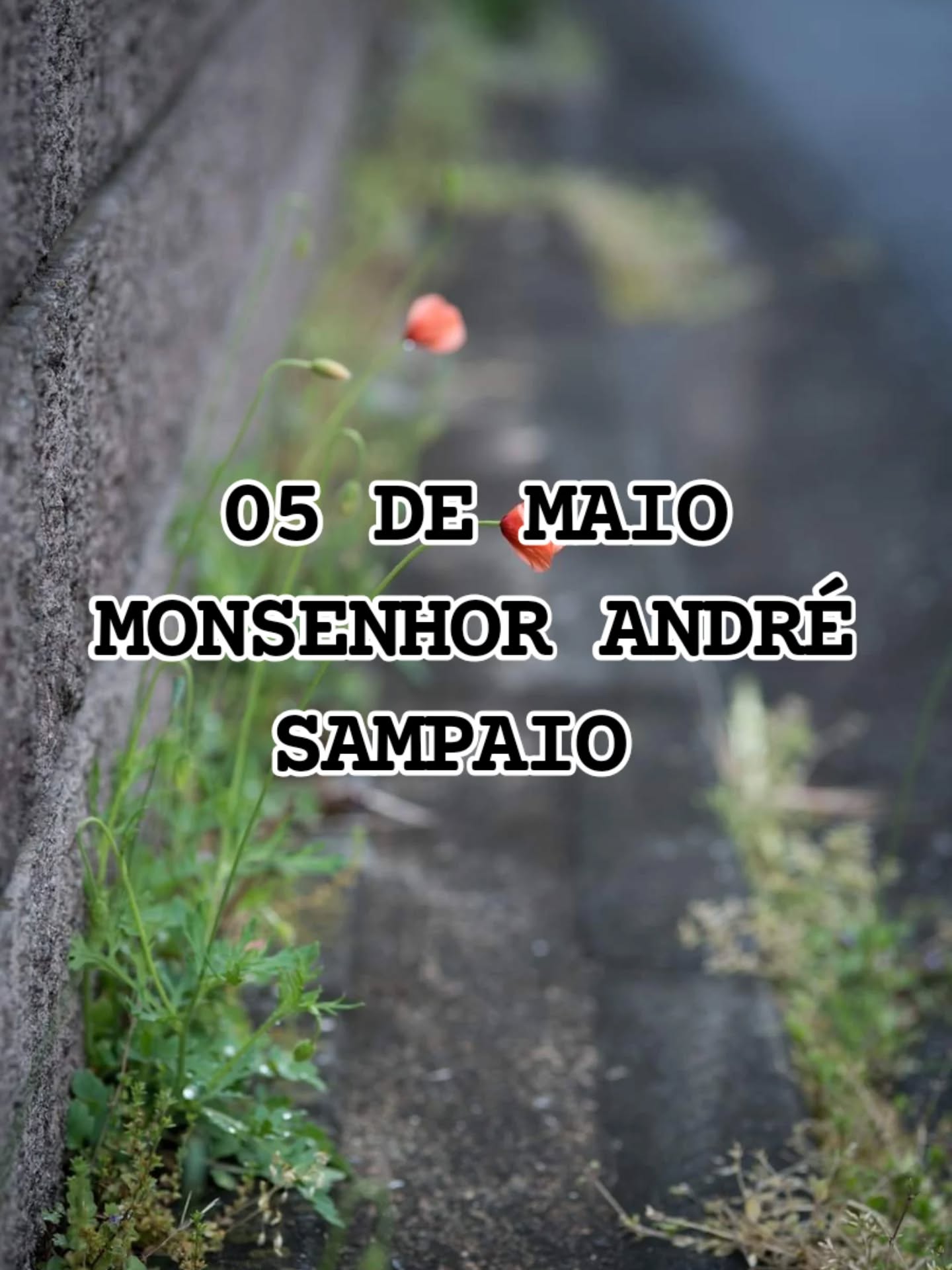05 DE MAIO 

"A inteligência sem amor te faz perverso.

A justiça sem amor te faz implacável.

A diplomacia sem amor te faz hipócrita.

O êxito sem amor te faz arrogante.

A riqueza sem amor te faz avarento.

A docilidade sem amor te faz servil.

A pobreza sem amor te faz orgulhoso.

A beleza sem amor te faz ridículo.

A autoridade sem amor te faz tirano.

O trabalho sem amor te faz escravo.

A simplicidade sem amor te deprecia.

A política sem amor te deixa egoísta.

A fé sem amor te deixa fanático.

A cruz sem amor se converte em tortura.

A vida sem amor não tem sentido."

Mons. André Sampaio (@mons_andre_sampaio) 

⚠️➡️Nos siga no Instagram: @katholikosbrasil

⚠️➡️Curta nossa página no Facebook: @katholikosbrasil

#Katholikos #05demaio #cincodemaio #MonsAndréSampaio #AndréSampaio